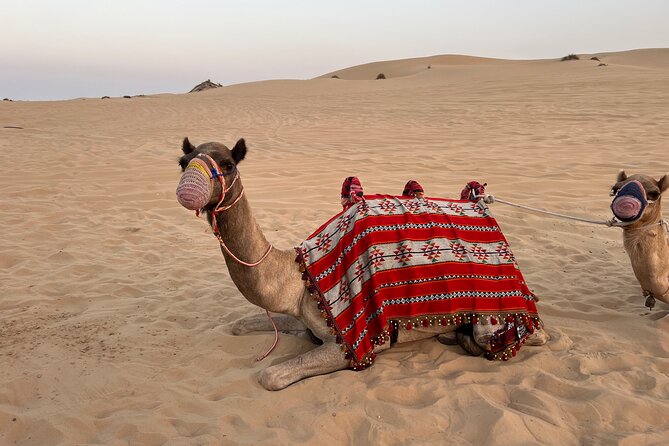 Dubai Red Desert Safari on Private 4x4, Sand Boarding, Camel 4hrs - Who this private Red Desert safari is best for