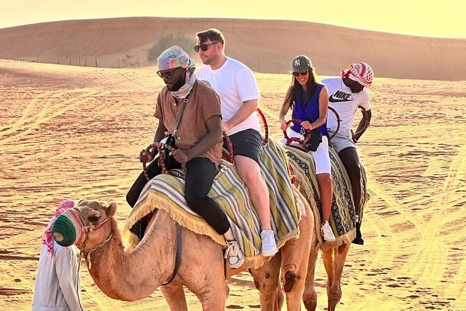 Dubai Red Desert Safari sharing basis with Camel, Shows & Dinner - The 4x4 dune bash, where the thrill meets control