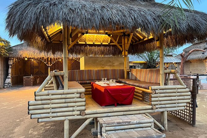 Dubai Red Desert Safari sharing basis with Camel, Shows & Dinner - Who this desert safari is best for