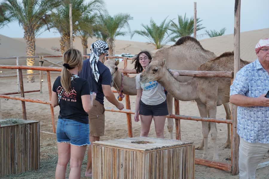 Dubai: Red Dune Desert Safari, Quad Bike, Camels, and BBQ - Sandboarding and camel riding: the perfect mix of action and photos