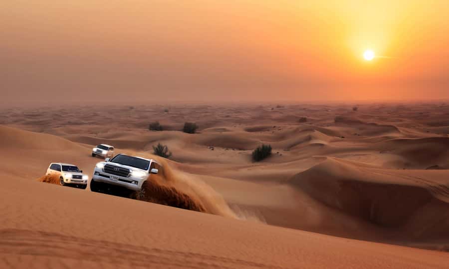 Dubai: Red Dune Desert Safari, Quad Bike, Camels, and BBQ - BBQ dinner and shows: what the evening really looks like