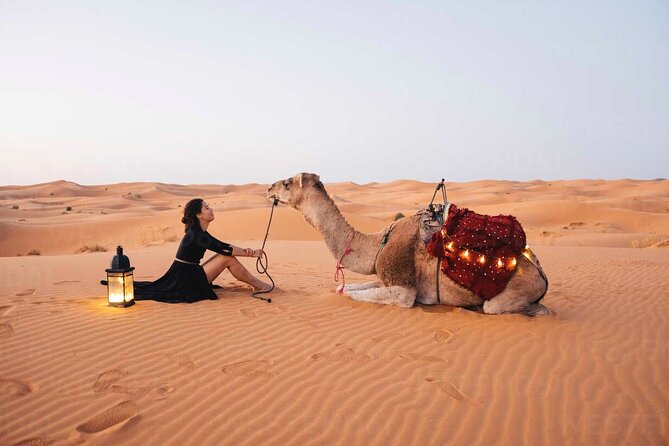 Dubai: Red Dunes Desert Safari, Camel ride, Sandboard, Quad Bike - Key moments to plan for