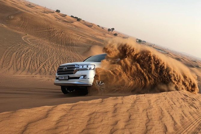 Dubai Red Dunes Desert Safari : Sandboarding, BBQ & Live Shows - Key Things You Will Really Notice