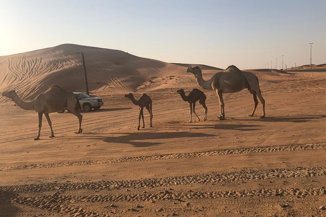 Dubai Red Dunes Desert Safari : Sandboarding, BBQ & Live Shows - Entering Lahbab: Dune Bashing, Camel Rides, and Sandboarding