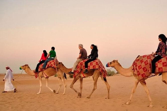 Dubai Red Dunes Desert Safari : Sandboarding, BBQ & Live Shows - Timing, Weather, and How to Choose the Right Night