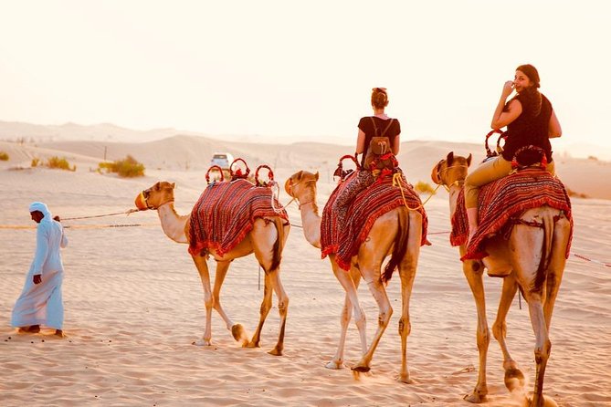 Dubai Red Dunes Desert Safari, With BBQ, Camel Ride, Sand Boarding And Much More - Henna, sheesha facility, and getting hands-on with desert fun