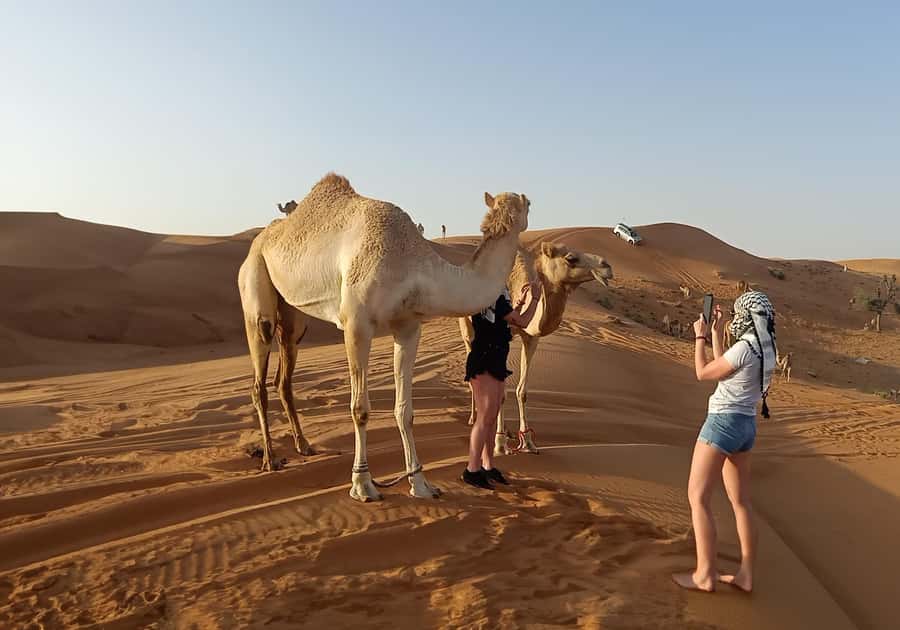 Dubai: Red Dunes Desert Safari with Premium Camp BBQ & Shows - Dubai pickup to Lahbab red dunes: how the timing sets the tone