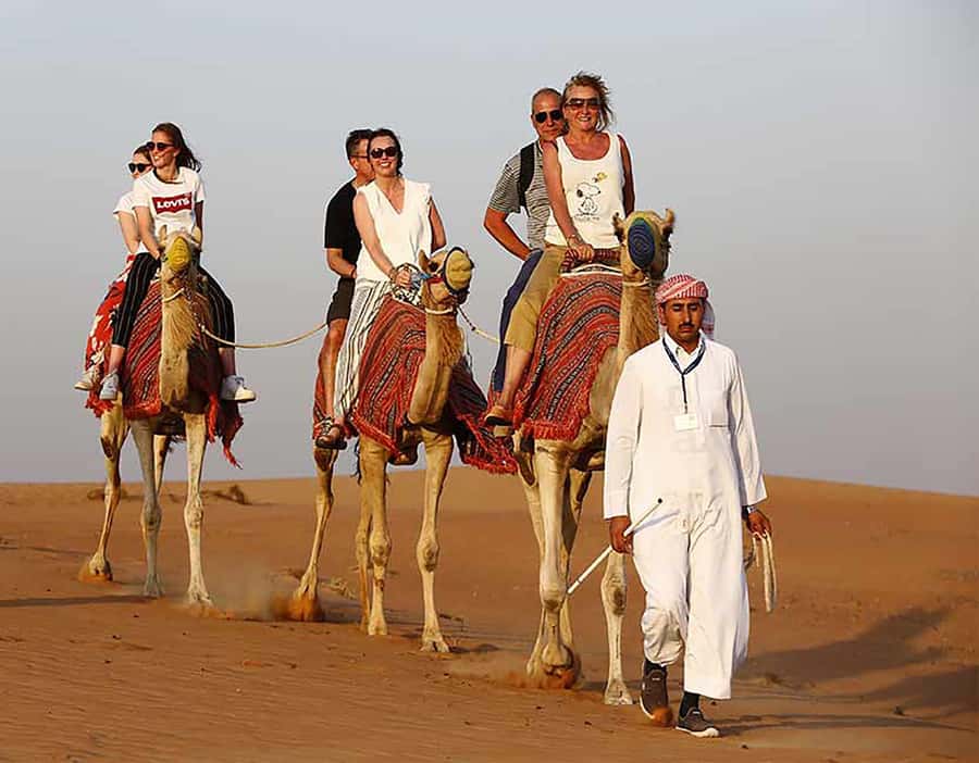Dubai: Red Dunes Desert Safari with Premium Camp BBQ & Shows - Who this desert safari fits best (and who should skip it)