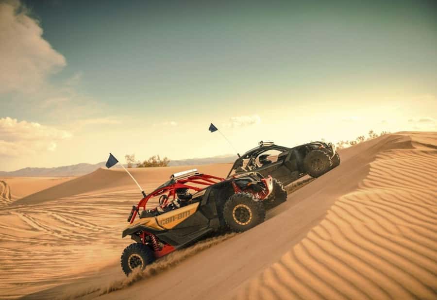 Dubai: Red Dunes Quad Bike, Dune Buggy, Camel & Refreshments - Key Points Before You Go