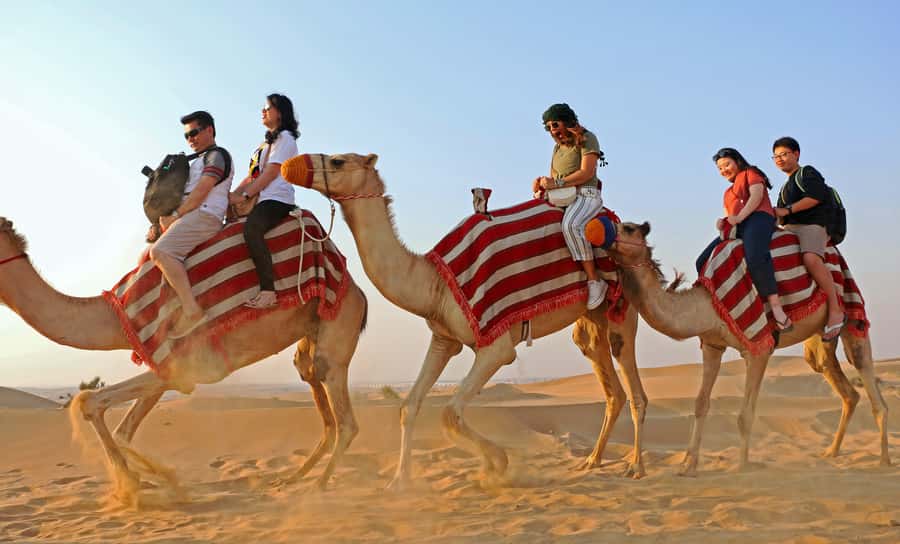 Dubai: Red Dunes Quad Bike with Sandboarding, Camels and BBQ - Quad bike hour on red dunes, plus sandboarding without the awkward downtime