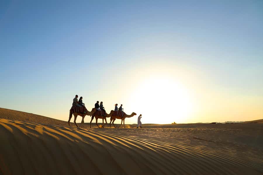 Dubai: Red Dunes Quad Bike with Sandboarding, Camels and BBQ - What to pack, what not to bring, and who should skip camel rides or quad bikes