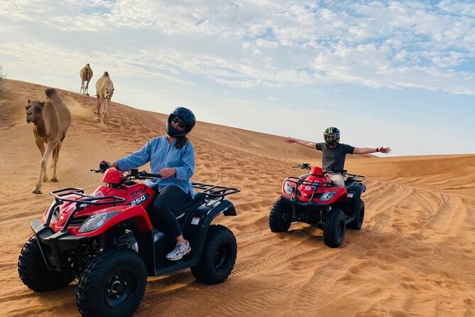 Dubai Red Dunes Safari, ATV, Camel ride, BBQ at Desert Camp - High-Dune Photo Stop, Plus Sandboarding If You Want It