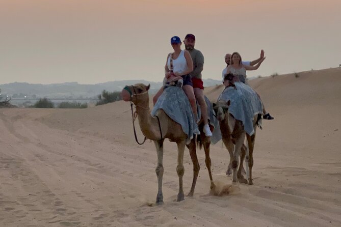 Dubai Red Dunes Safari, Camel Ride & Live BBQ - Who should book this Dubai red dunes safari