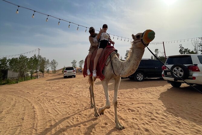 Dubai: Red Dunes, Sandsurf, Camel Ride, BBQ Dinner at Desert Camp - Dune bashing in a 4-wheel drive: the part you should not rush