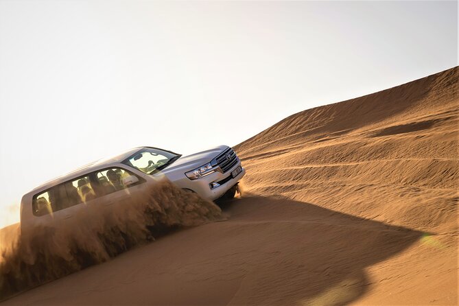 Dubai Red Dunes with Sandboarding, Camel Ride, Falcon & VIP Camp - Key points before you go