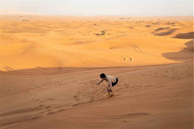 Dubai Red Dunes with Sandboarding, Camel Ride, Falcon & VIP Camp - Falcon Photo and Sunset Color: The Best Time for Pictures