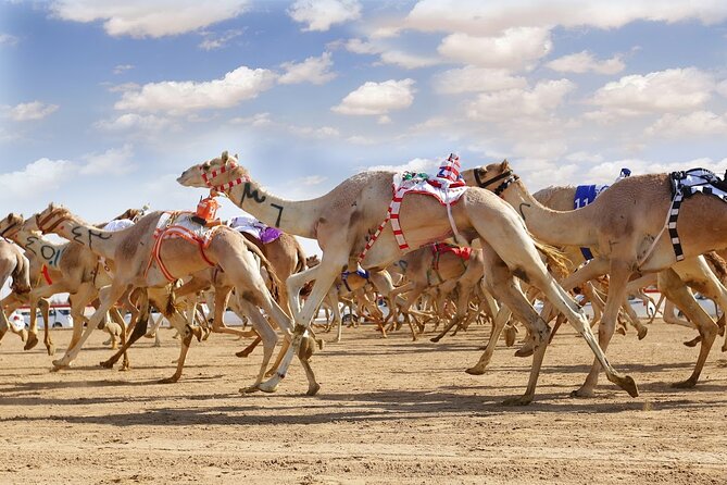Dubai Royal Camel Race with Prime Seats & Short Camel Ride - Key Things to Know Before You Go