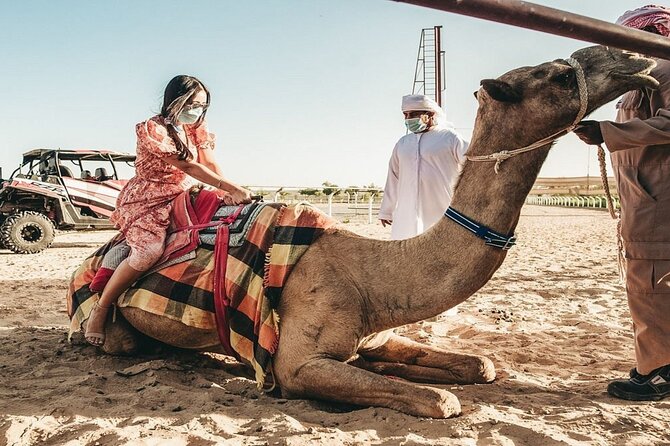 Dubai Royal Camel Race with Prime Seats & Short Camel Ride - Camel feeding and the short camel ride: fun, but go in with the right expectations