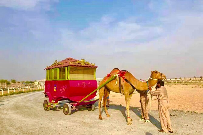 Dubai Royal Camel Race with Prime Seats & Short Camel Ride - Optional upgrade: robot jockey racing and a sand buggy ride