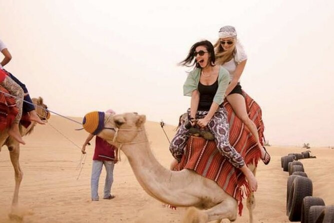 Dubai Royal Camel Race with Prime Seats & Short Camel Ride - Price and logistics: is $26 good value for Dubai?
