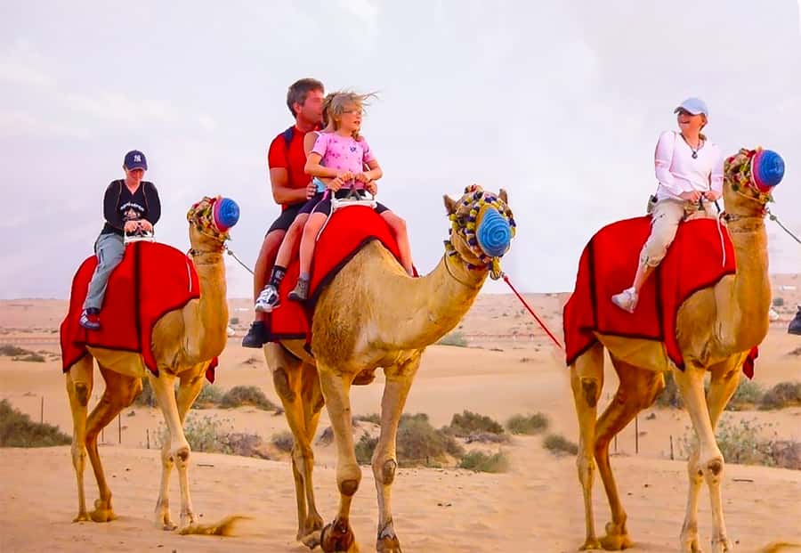 Dubai: Safari, Quad Bike, Camel Ride, and Buffet Dinner - Dune Bashing and Sandboarding: What the Main Thrill Feels Like