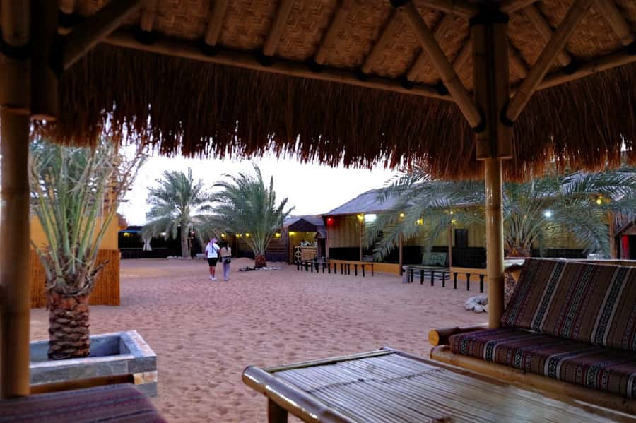 Dubai: Safari, Quad Bike, Camel Ride, and Buffet Dinner - What to Bring, What to Avoid, and How to Stay Comfortable