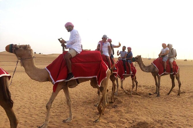 Dubai: Sandboarding, Camel Ride and Red Dune Bashing Safari - Buffet Dinner and the Live Lineup: Belly Dancing, Fire Show, Tanura