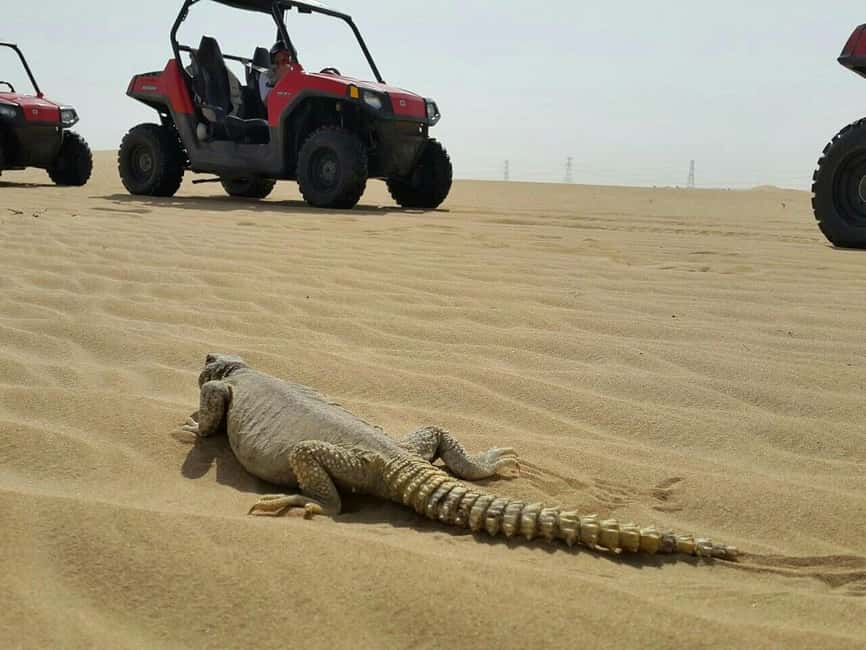 Dubai: Self-Drive Dune Buggy Safari with Pickup and Drop-Off - What You Actually Drive: the 800cc Sand Buggy Safari Setup