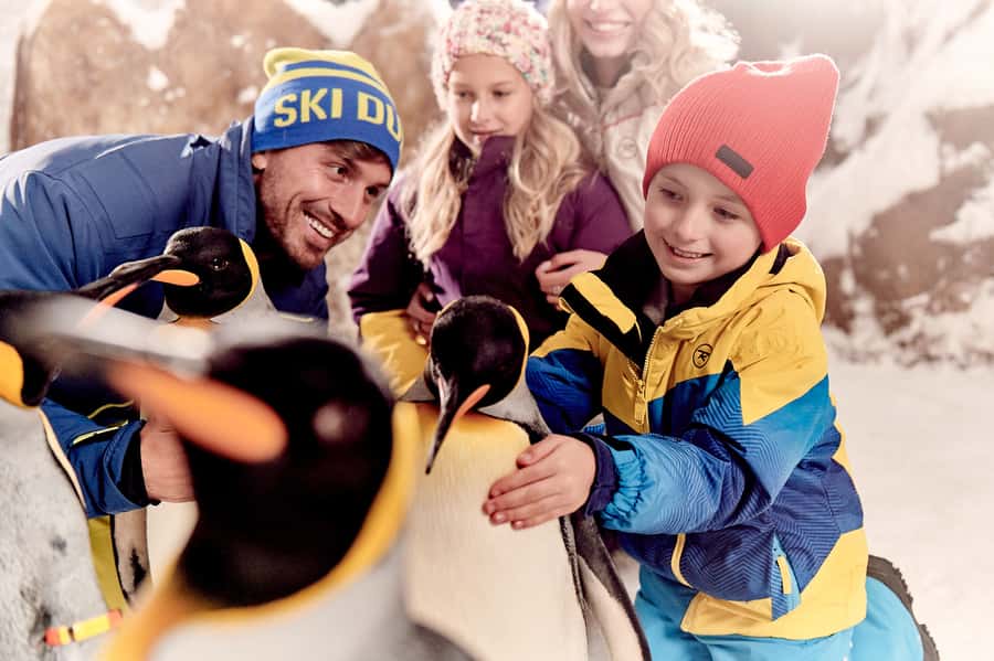 Dubai: Ski Dubai Snow Park Classic Pass - Zorb Ball and the giant bubble-slide fun