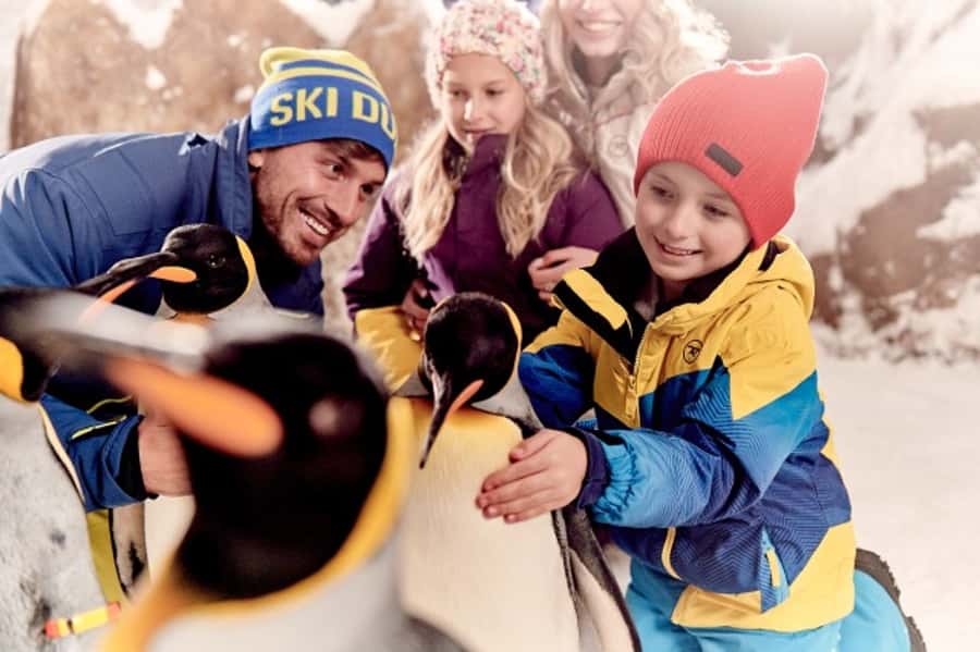 Dubai: Ski Dubai Snow Plus Pass - Mountain Thriller and chairlift rides: the big internal reset