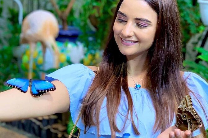 Dubai: Skip-The-Line Ticket to Butterfly Garden - The Moments When Butterflies Land on You