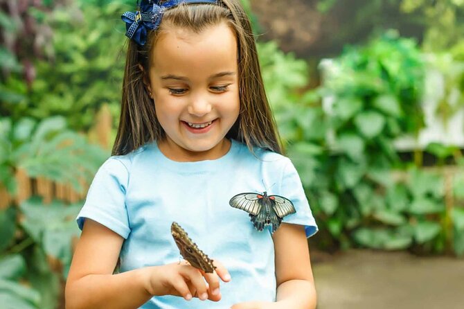 Dubai: Skip-The-Line Ticket to Butterfly Garden - Cool Comfort, Seating Pergolas, and Photo Spots That Matter