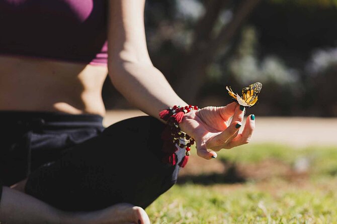 Dubai: Skip-The-Line Ticket to Butterfly Garden - Souvenirs, Garden Rules, and Being a Good Butterfly Neighbor