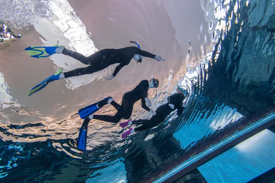 Dubai: Snorkeling at Deep Dive World's Deepest Pool - What You Do in Your 1-Hour Snorkel Session (and What You Do Not)