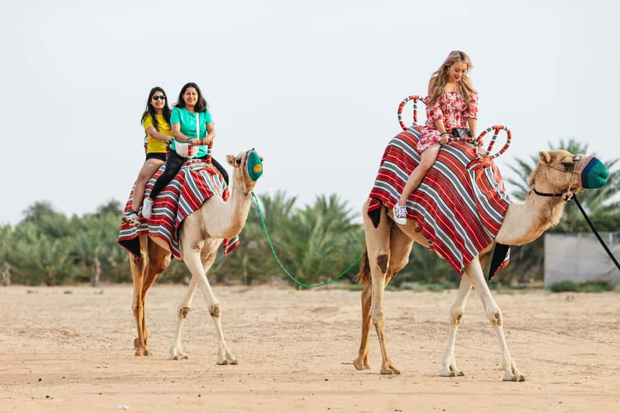 Dubai: Sunrise Balloon Flight with Camel Ride & Breakfast - Key Points Before You Go