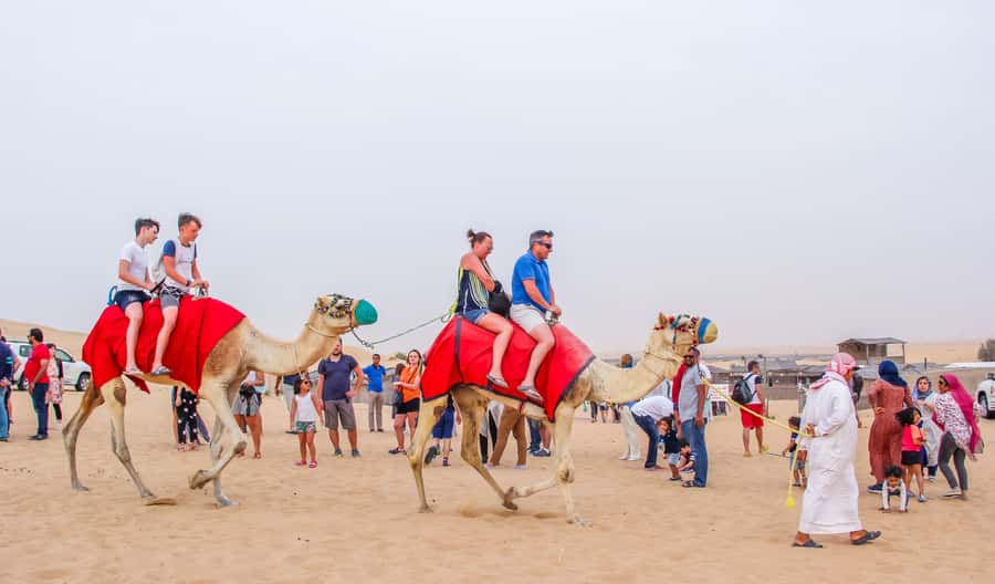 Dubai Sunrise Desert Camel Trek with Breakfast - Entering the Desert Before the City Wakes Up