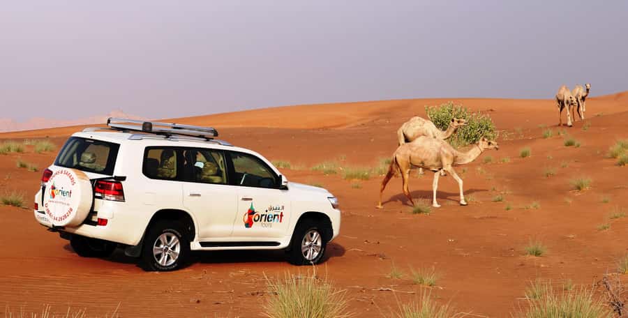 Dubai Sunrise Desert Camel Trek with Breakfast - The Easy Part: Pickup, Timing, and a Quick Photo Moment in Dubai