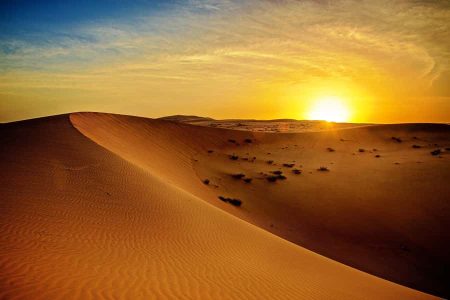 Dubai: Sunrise Desert Jeep Safari with Wildlife Experience - Sandboarding in 15 Minutes: Short Ride, Big Smile Potential