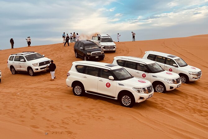 Dubai Sunrise Desert Safari Red Dune Camel Falcon & Sandboarding - Camel ride and falcon interaction: the cultural moments that add meaning