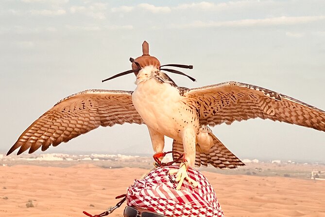 Dubai Sunrise Desert Safari Red Dune Camel Falcon & Sandboarding - Sunrise photos in the deep desert: when lighting becomes your best souvenir