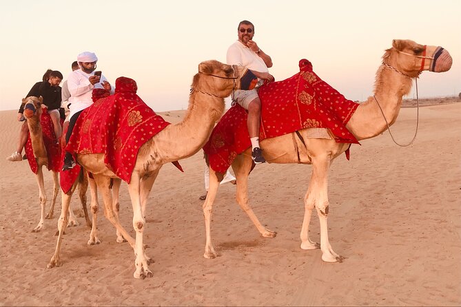 Dubai Sunrise Desert Safari Red Dune Camel Falcon & Sandboarding - What you’re actually getting for $34.89