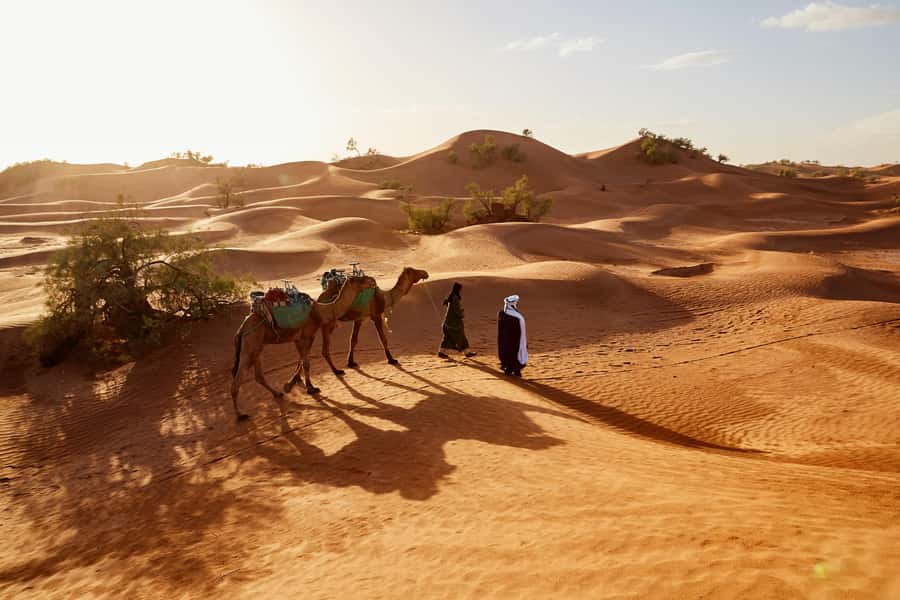 Dubai: Sunrise Hot Air Balloon Tour with E-Certificate - Watch the Live Balloon Inflation Up Close