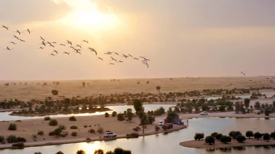 Dubai: Sunrise Hot Air Balloon Tour with E-Certificate - Landing, Group Photos, and Your Flight E-Certificate