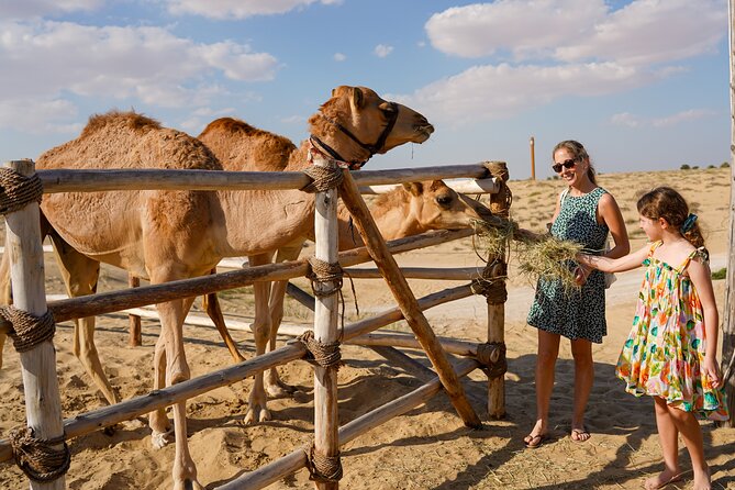 Dubai: Sunset Camel Trek, Al Khayma Camp, Stargazing & BBQ - BBQ Buffet Dinner and Live Desert Shows: Where the Night Usually Wins