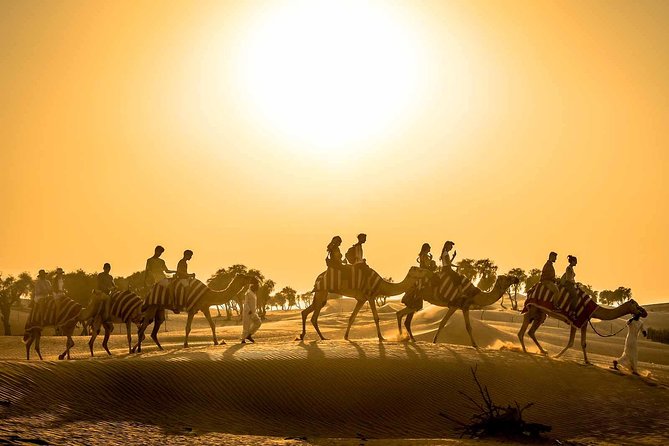 Dubai Sunset Camel Trekking with Shows & BBQ Dinner - Why a Sunset Camel Trek Works So Well in Dubai