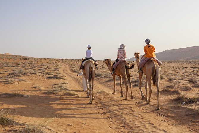 Dubai Sunset Camel Trekking with Shows & BBQ Dinner - Dressing Up With Traditional Arabic Attire, Plus the Falcon Photo Experience