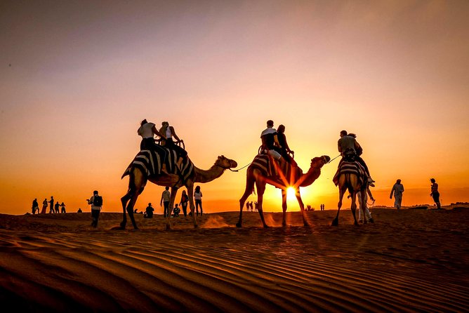 Dubai Sunset Camel Trekking with Shows & BBQ Dinner - Should You Book This Dubai Sunset Camel Trek?