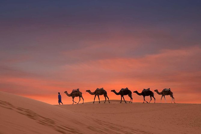 Dubai Sunset Camel Trekking with Shows & BBQ Dinner - Old Arabia Camp: Kahwa, Dates, Henna, and Shisha in One Evening