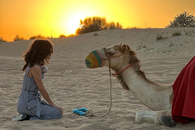 Dubai Sunset Red Dune Desert Safari, Sandboarding and Camel Ride - Camel ride at sunset, short but memorable