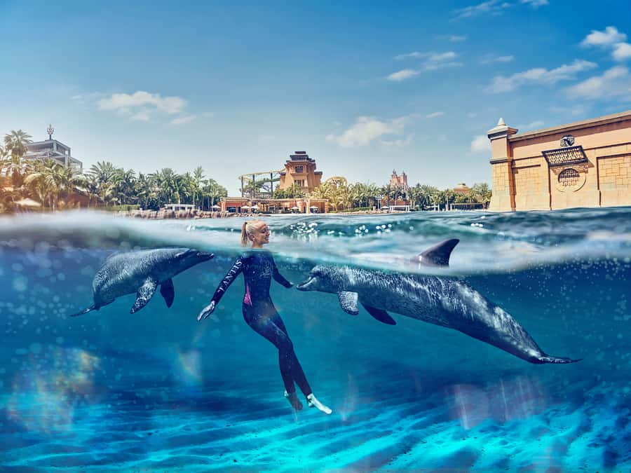 Dubai: Swim with Dolphins at Atlantis Waterpark - Key things you’ll notice right away